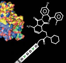 Forscher suchen unter Millionen von Molekülen nach potenziellen Wirkstoffkandidaten, die an ein Zielprotein (links) binden. Die Moleküle lassen sich anhand eines kurzen Stücks DNS identifizieren. (Bild: Fabian Buller / ETH Zürich)