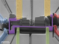 In diesen Eisenpniktid-Kristall wurde ein Strompfad strukturiert (lila). Mit ihm können die Wissenschaftler untersuchen, wie der Stromfluss die Supraleitung beeinflusst. Die anderen Farben zeigen Platin-Bahnen, die für elektrischen Kontakt sorgen. (Bild: Gruppe Batlogg und EMEZ / ETH Zürich)