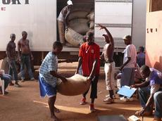 Jugendliche Arbeiter bringen in Sierra Leones Hauptstadt Freetown Fairtrade-Kakao in ein Lager. (Bild: Pablo Padrutt)