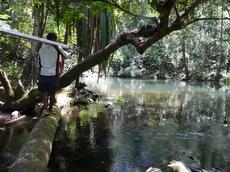 The researchers and their helpers follow the river through the jungle.