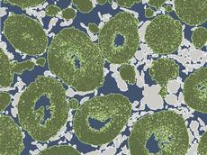 Mikroskopischer Querschnitt eines Zeolith-Katalysators, wie er in der Industrie eingesetzt wird (grün: Zeolith-Korn, hellgrau: Bindemittel, dunkelgrau: Makroporen). (Bild: Nina-Luisa Michels / ETH Zürich)