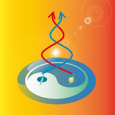 Der Spin eines «künstlichen Atoms» ist mit der Farbe des Lichts in einem Halbleitersystem verschränkt. (Illustration: Quantum Photonics Group / ETH Zürich)