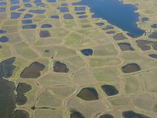 Die typische Polygonstruktur der Tundra im Lena-Delta.