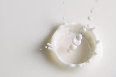 Using mass spectrometry, it is possible to determine within a few seconds whether milk is polluted with melamine.