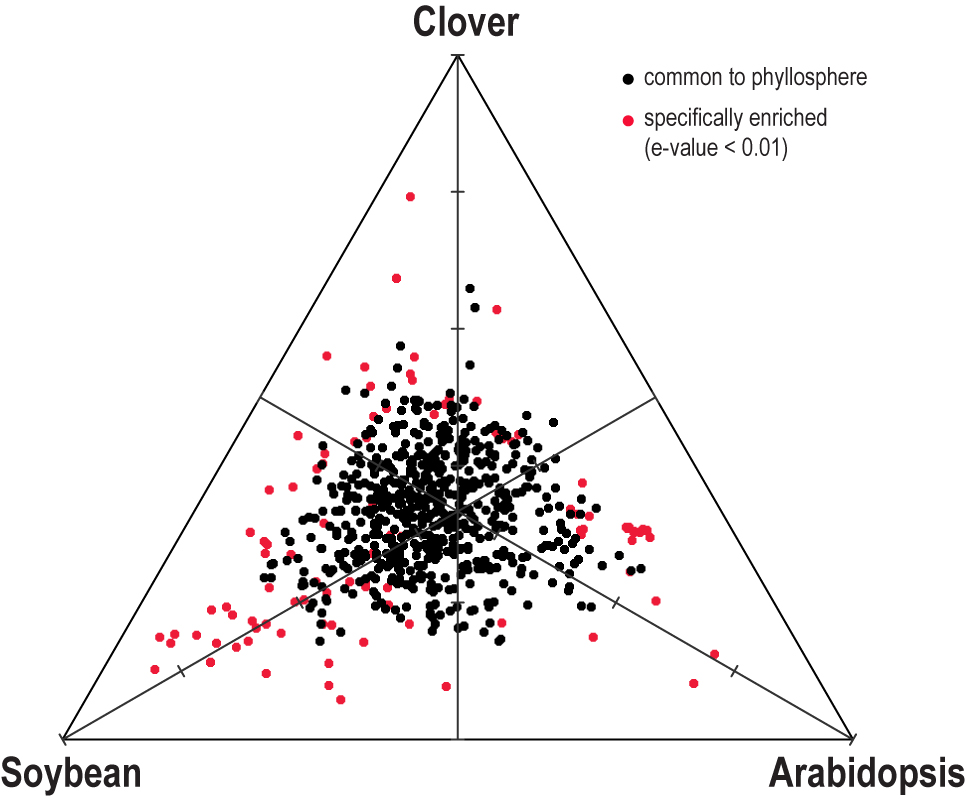 Samuel Chaffron und Christian von Mering quantifizierten die Proteinexpression der Blattbakterien. Rote Punkte entsprechen Proteinfunktionen, die bevorzugt auf einer der drei Pflanzenarten benötigt werden. (Bild: Delmotte et al., 2009)