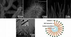 Die Borkarbid-Nanofasern umgeben Baumwollfasern wie ein dichter Pelz. Das Schema rechts unten zeigt den Aufbau der verstärkten Fasern. (Bilder: aus Tao X. et al., 2010).