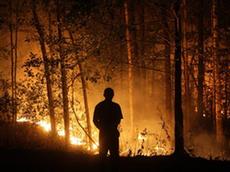 Ein russischer Feuerwehrmann im Kampf gegen die Flammen. (Bild: Keystone)