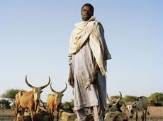 Abdallay Abdou Hassin aus dem Tschad hat einen Grossteil seiner Herde verloren, weil sich die Giftstoffe im Tschadsee zunehmend konzentrieren. (Bild: Mathias Braschler / Monika Fischer)