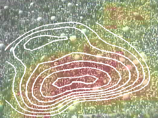 Grafisch dargestellt das Kräftefeld, das sich in einer Menschenmasse bildet und ausdehnt. (Bild: zVg D. Helbing / ETH Zürich)