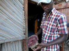 A local resident shows the much sought-after red heartwood of a rosewood species. (Photo: Zurich Zoo, Martin Bauert)
