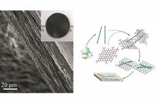 Das Hybrid-Nanokompositpapier aus Proteinfibrillen und Graphen nach der Trocknung durch Vakuumfiltration (Bild: Li et al. / Nature Nanotechnology 2012) und der Herstellungszyklus (Graphik rechts).