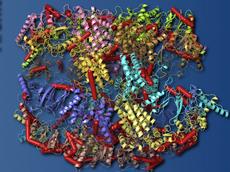 Mit einer neuen Methode können ETH-Forscher nun die Struktur und Anordnung grosser, komplizierter Proteinkomplexe aufklären. Rote Stäbe sind chemische Quervernetzungen, jedes farbige Band entspricht einer Protein-Untereinheit. (Bild: Franz Herzog / ETH Zürich)