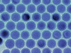 Gleichmässige Zinn-Nanotröpfchen im Elektronenmikroskop. (Bild: Maksym Kovalenko  / ETH Zürich)