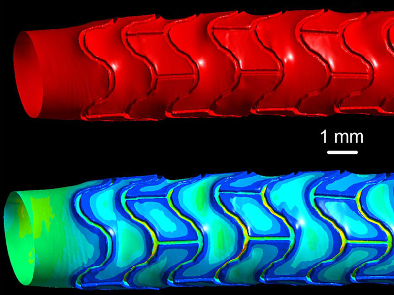 Computermodell einer Schweinearterie mit dem Abdruck eines gefässerweiternden Stents. Je dunkler blau desto geringer ist die Scherkraft, die auf die Gefässwand einwirkt. (Grafik: aus Rikhtegar et al PLosOne, 2013)